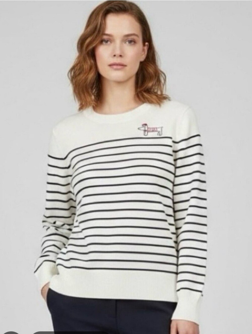 Dachshund Anthropologie Calligraphe Sweater